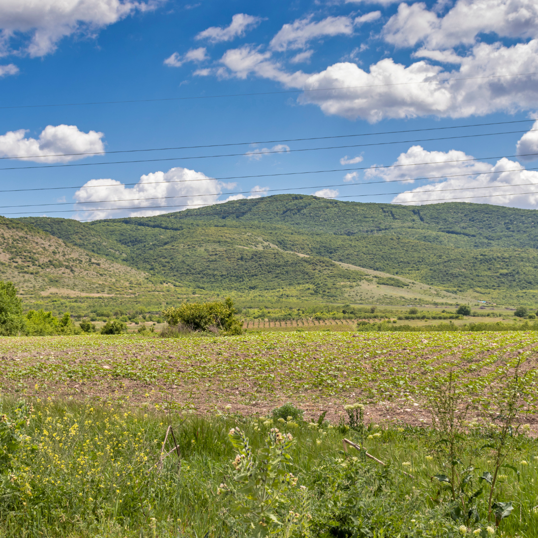 Bulgaria