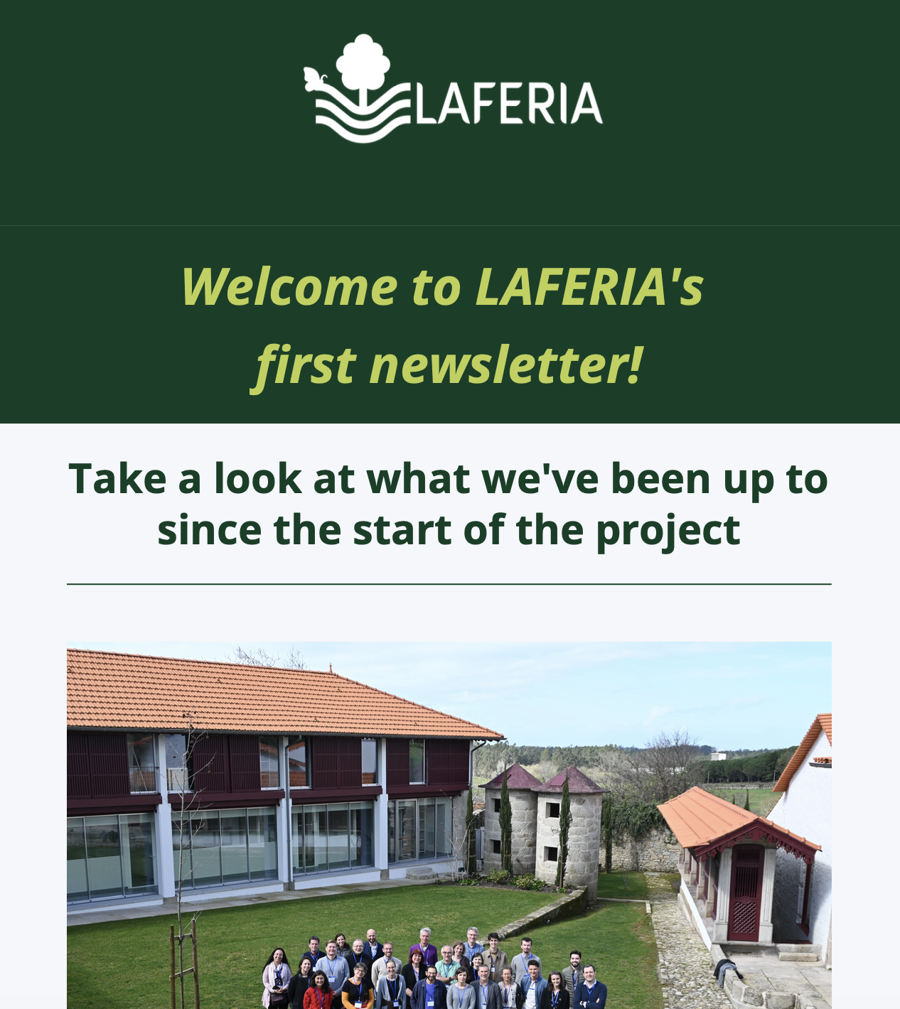 LAFERIA's First Newsletter newsletter cover