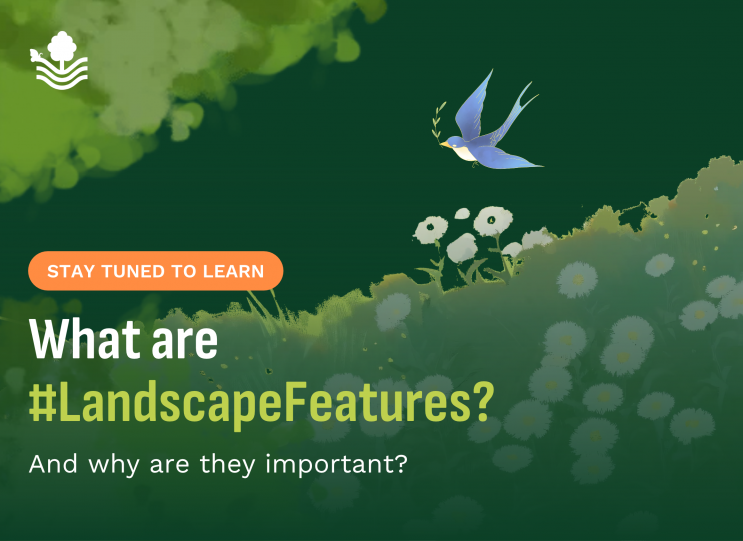 Benefits of Landscape Features: A new social media campaign launched